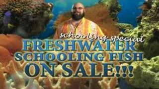 Fishtopia - Fall Schooling Special - Ridiculous Local Ad