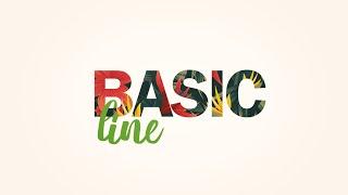 BASIC LINE (Ollin Professional)