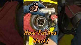 How A Turbo Works In 60 Seconds! Turbocharger Anatomy #Shorts