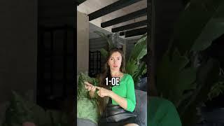 #ошибки #фитодизайн #комнатныерастения #уходзарастениями