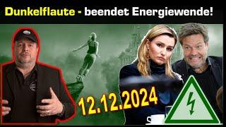 Sonder: Dunkelflaute beendet grüne Energiewende endgültig! - 12.12.2024