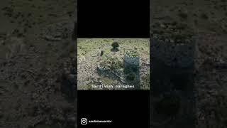 Sardinian Cyclopean Masonry towers Trailer: Nuraghes (Su Nuraxi, Samatzai)