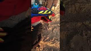 Seal Challenges His Rescuer! #sealrescue