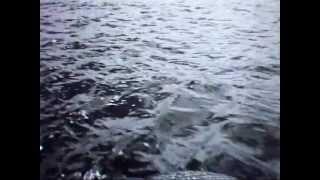 Jetski racing. On board with Andy Rich