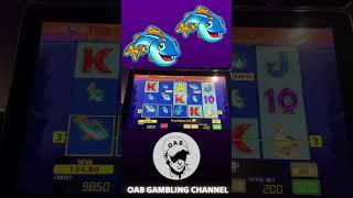 I Gambled A £241 Feature On Fishin' Frenzy FOBT Slot! Will It Win Or Lose?