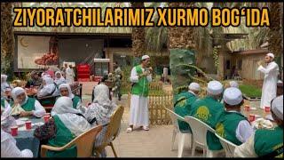 Zoyoratchilarimiz xurmo bogʻida!AQSO TRAVEL#umra #rek #makka #youtubeshorts #youtube #top