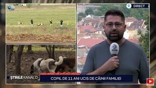 Stirile Kanal D - Copil de 11 ani, ucis de cainele familiei! | Editie de seara