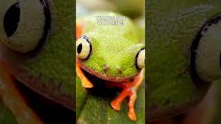 Chill Charms: Adorable Cold-Blooded Cuties ️ | Cold Critter Compilation