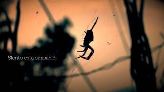 Matias Costa - Arañita feat. Mati Pando (Lyric video)