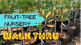 Fruit tree Nursery walk through| LA tropical rare trees