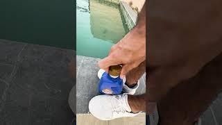 We transformed a green pool into a crystal-clear one!  Challenge WITHOUT losing water 