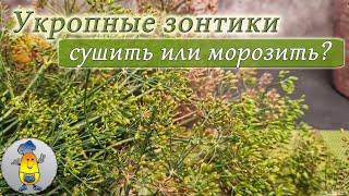 Зонтики укропа: НЕ СУШУ, а МОРОЖУ - интересно почему?