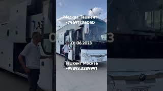 Москва Ташкент автобус #moskva #tashkent #avtobus #short #uzbekistan