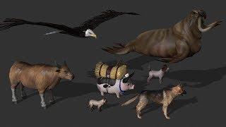 NEW ANIMALS. FREE ZOO 2 (Animals + Animations, iClone 6.54 and 7) FCMP-112