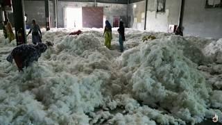 Underhand Tactics: The Cost of Cotton