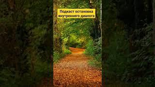 Остановка внутреннего диалога. Подкаст Александра Родина