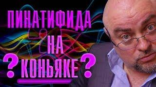 Пинатифида на коньяке. Аквариумные растения.