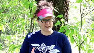 American Chestnut Foundation
