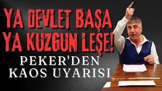 YA DEVLET BAŞA YA KUZGUN LEŞE! PEKER'DEN KAOS UYARISI