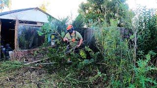 90 Yr Old LADY Who Faces EVICTION was SHOCKED and EMOTIONAL That I Mowed Her OVERGROWN Lawn For FREE