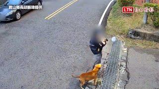 竹縣寶山鄉傳比特犬闖住家咬死家犬 社區人心惶惶（寶山鄉長邱振瑋提供）