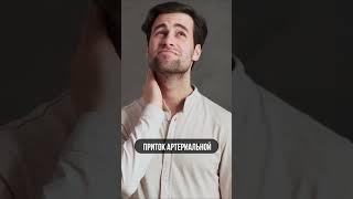 ТОП-3 совета, как улучшить кровообращение головного мозга?