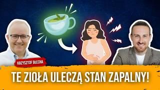 "Zioła mogą działać lepiej niż leki chemiczne - Twój lekarz musi to zobaczyć!" | dr Krzysztof Błecha