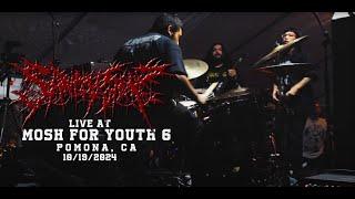 Sanity Slip - Mosh For Youth 6 [DRUM CAM]