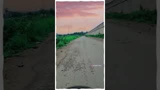 #kandra road view 