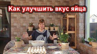 Как улучшить вкус яйца, что добавить, а что убрать из корма