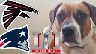 MY DOG (Anakin) PICKS THE WINNER OF SUPER BOWL 51 - super bowl 51