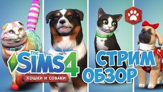 The Sims 4  Кошки и Собаки Обзор дополнения