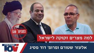 פרופ' דוד פסיג: זה מה שלא ידעתם על הפחד הגדול של מצרים