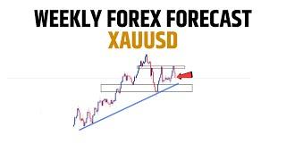 Weekly Forex Forecast XAUUSD GOLD || Next Week Prediction Gold || Technical Kewat Ji