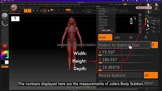 ZB_18.05 | How to check the measurements of 1 subtool using Scale Master.