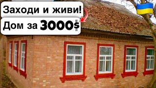  Заходи и живи! Дом в селе за 3000$ Продажа недвижимости за копейки! Всё есть Уютное тихое село!