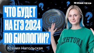 Что будет на ЕГЭ по биологии 2024? | Ксения Напольская