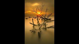 REXSY Romantic Piano Ecstasy 2020 - Pure Raindrops of Love (6060)