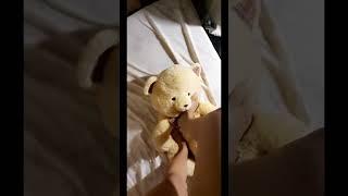 Friend teddy bear trample