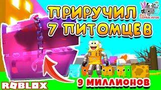 СИМУЛЯТОР ПИТОМЦЕВ ПРИРУЧИЛ 7 ЗВЕРЕЙ! САМЫЙ БОЛЬШОЙ СУНДУК ROBLOX PET SIMULATOR