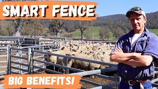 Smart Fence Gives Big Benefits!