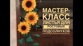 Мастер-класс Листья из фоамирана для ростового подсолнуха