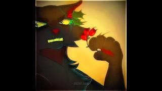 Chromokopia//️:me// #warriorcats #warriornation #edit #trending #shorts #fyp #capcut #cat