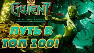 Путь в топ 100! [Gwent]