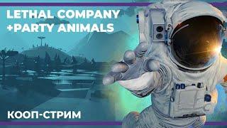 Кооп c Куплиновым и БлэкУфой | Lethal Company и соло Party Animals (11.11.2023)