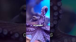 Amazing Science Facts You Didn’t Know Part 5 #shorts #sciencedaily #unbelievable science