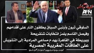 سلوقي تبون وأرانبه يفضحون انتخاباتهم.. وبوريطة يُفشل مسعى إفساد العلاقات المغربية المصرية