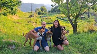 Life on our Off Grid Homestead 