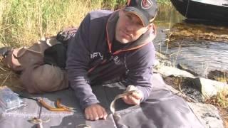 Savage Gear Real Eel Instructional Video