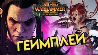 Малус Тёмный Клинок - геймплей Тёмных Эльфов в Total War WARHAMMER 2 - The Shadow & The Blade